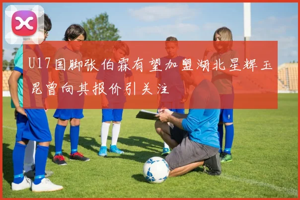 U17国脚张伯霖有望加盟湖北星辉玉昆曾向其报价引关注
