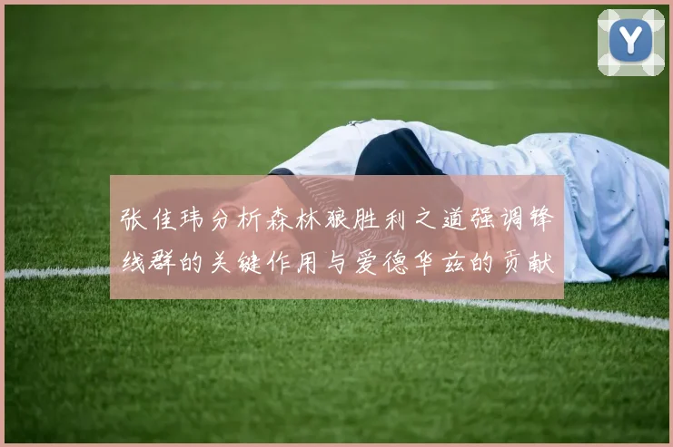 张佳玮分析森林狼胜利之道强调锋线群的关键作用与爱德华兹的贡献