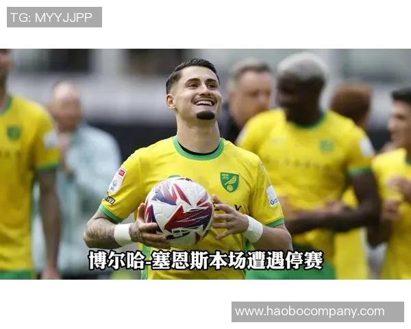 斯旺西队在英冠排名第18考虑解雇主教练艾伦希恩以寻求改变