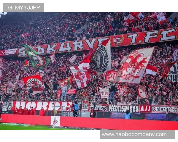 曼联伤病危机加剧舍什科库尼亚马奎尔梅努利马均因伤缺阵